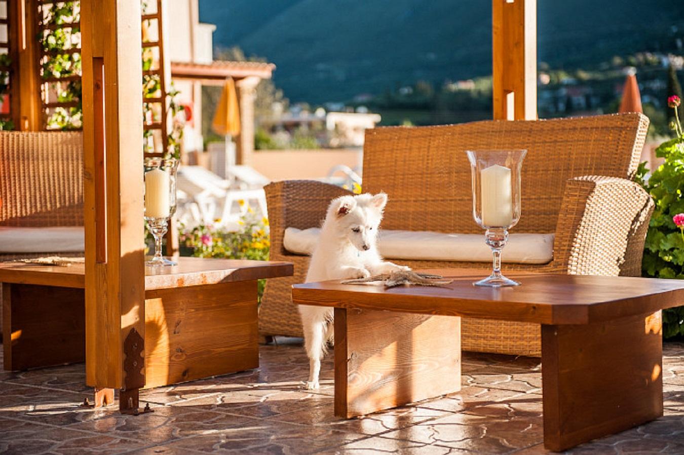 Clio Hotel Αλυκών Εξωτερικό φωτογραφία